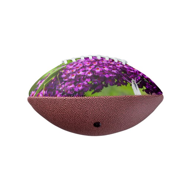 katydid energy football (Rotated 270)