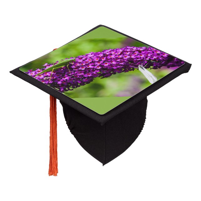 katydid energy graduation cap topper (Angled)