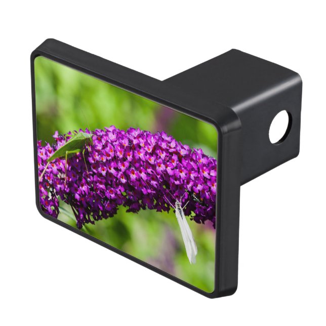 katydid energy hitch cover (Top Right)