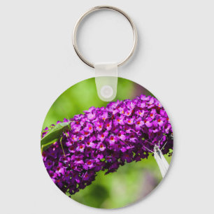 katydid energy keychain