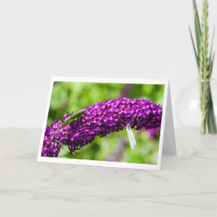 katydid energy letterpress thank you card