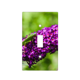 katydid energy light switch cover