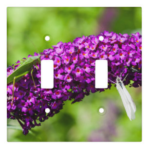 katydid energy light switch cover