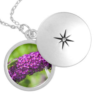 katydid energy locket necklace