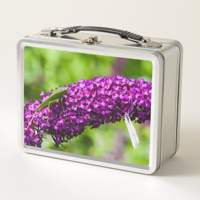 katydid energy metal lunch box (Front)