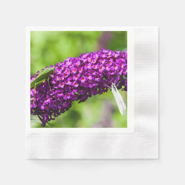 katydid energy napkins (Front)