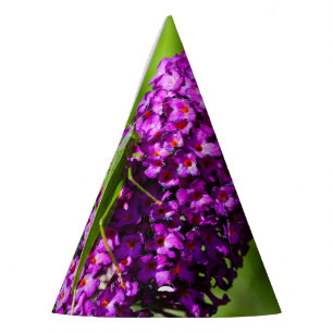 katydid energy party hat