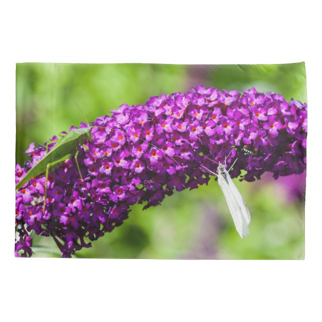 katydid energy pillow case (Back)