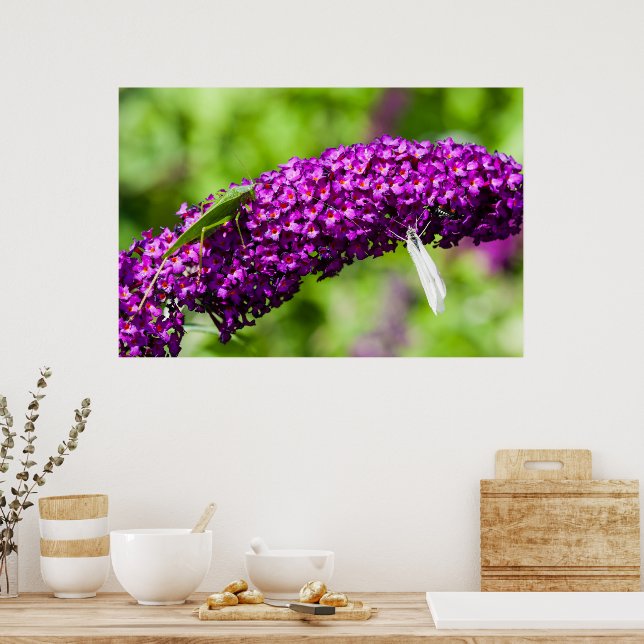 katydid energy poster (Kitchen)