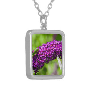 katydid energy silver plated necklace