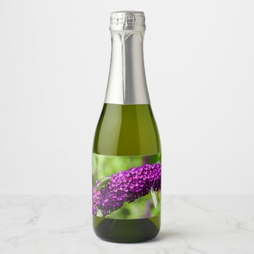 katydid energy sparkling wine label