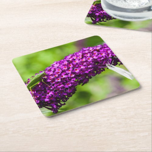 katydid energy square paper coaster