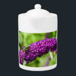 katydid energy teapot<br><div class="desc">katydid,  the common sulphur butterfly and the japanese beetle,  gather on blooming flowers of the butterfly bush plant</div>