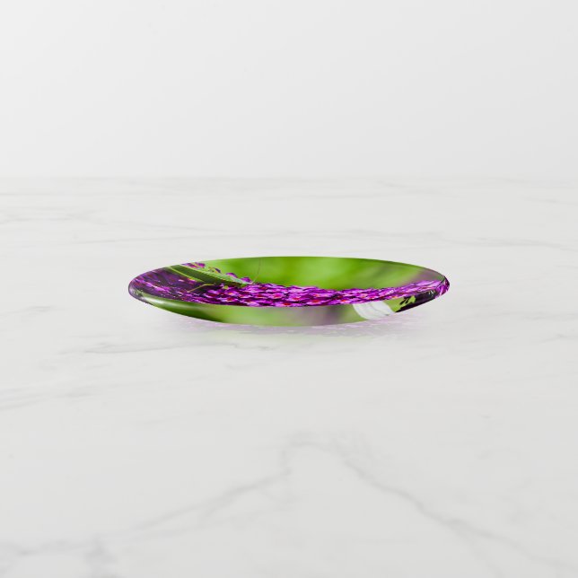 katydid energy trinket tray (Angled)