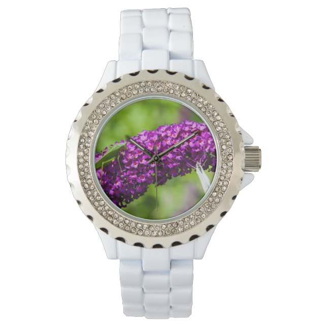 katydid energy watch (Front)