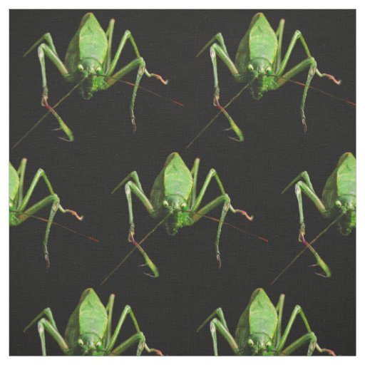 Katydid Fabric