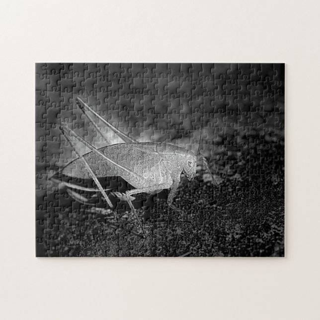 Katydid Grasshopper In Black And White Nature Jigsaw Puzzle (Horizontal)