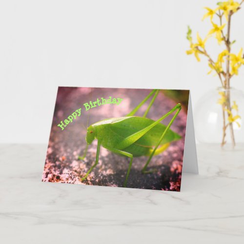 Katydid Grasshopper Nature Birthday  Card