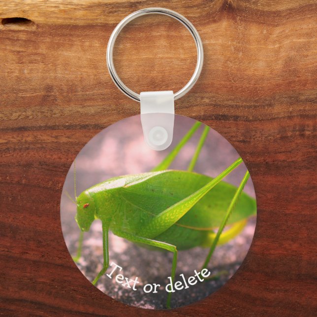 Katydid Grasshopper Nature Personalized Keychain (Front)