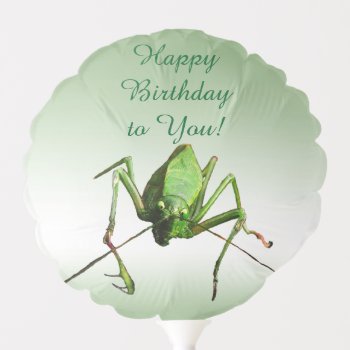 Katydid Green Birthday Animal Balloon by Bebops at Zazzle