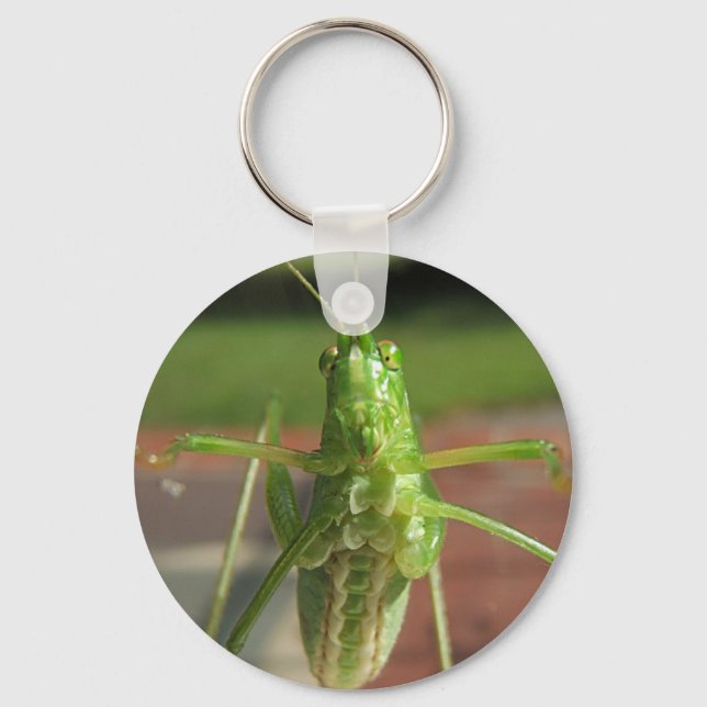 Katydid ~ keychain (Front)