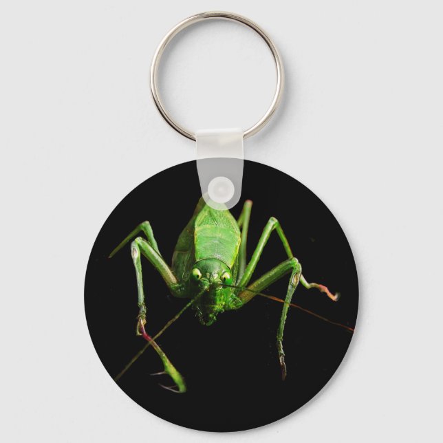 Katydid Keychain (Front)