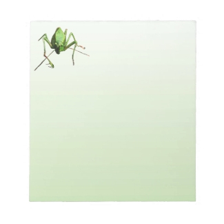 Katydid