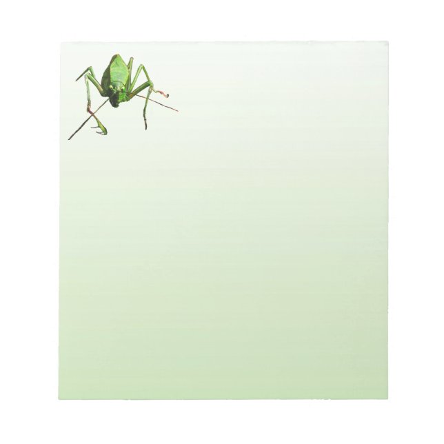 Katydid Notepad (Front)
