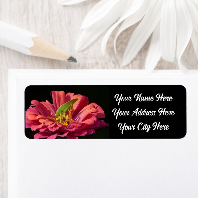 Katydid on Zinnia Label (Insitu)