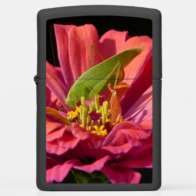 Katydid on Zinnia Zippo Lighter (Front)