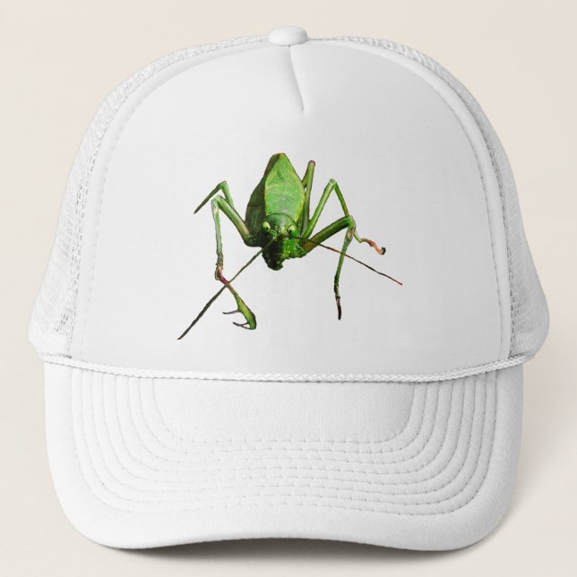 Katydid Trucker Hat (Front)