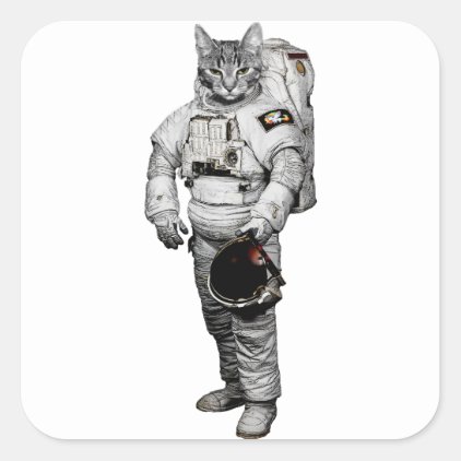 Katze Astronaut Sticker