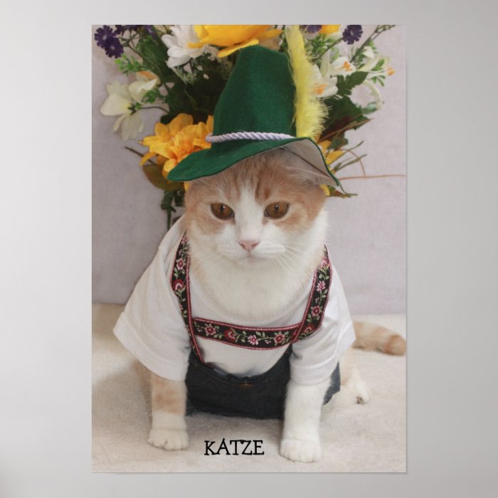 KATZE/CAT Funny German Cat Poster