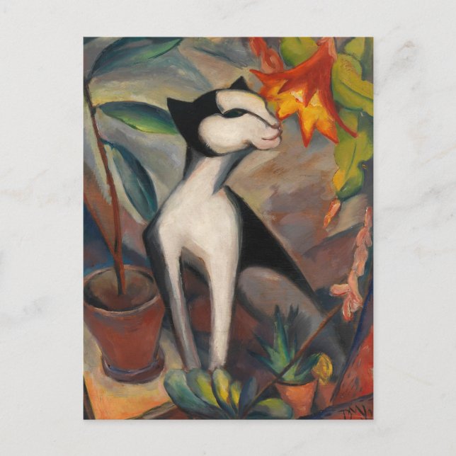 Katze mit Kakteenblute by Maetzel-Johannsen Postcard (Front)