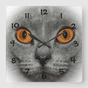 Katzenaugen Square Wall Clock