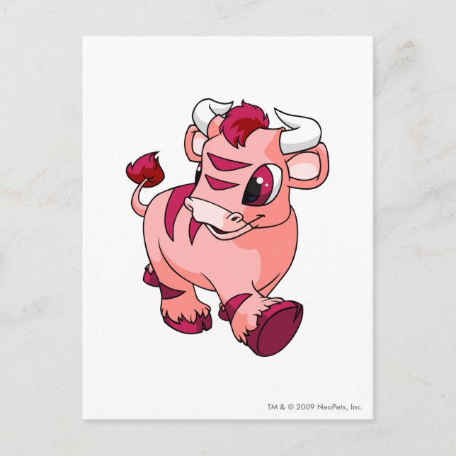 Kau Pink Postcard (Front)