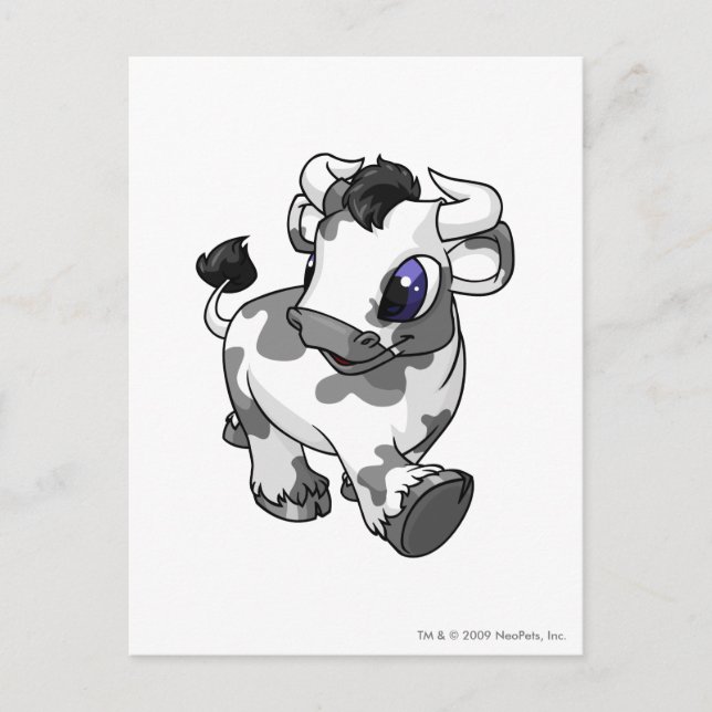 Kau Spotted Postcard (Front)