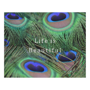 Kauai Blue Peacock Feathers (photo taken by me) Faux Canvas Print