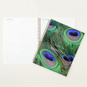 Kauai Blue Peacock Feathers (photo taken by me) Planner