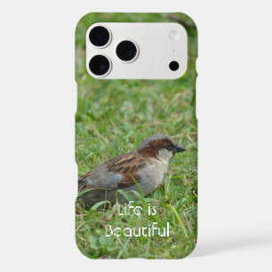 Kauai Hawaii Bird (my photography) iPhone 17 Pro Max Case