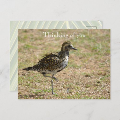 Kauai Hawaii Bird on Grass Thinking of you Postcard