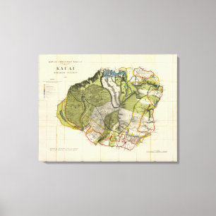 Kauai, Hawaii Canvas Print
