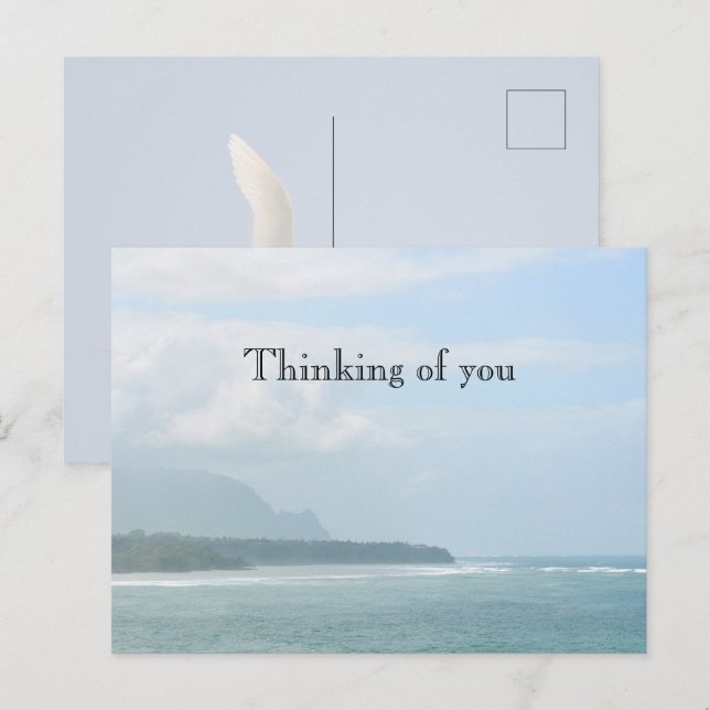 Kauai Hawaii Kilauea Ocean Red Tailed Tropicbird  Postcard (Front/Back)