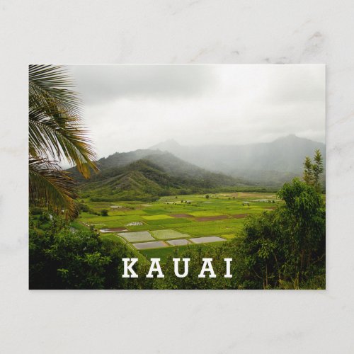 Kauai Hawaii Landscape Scene Postcard