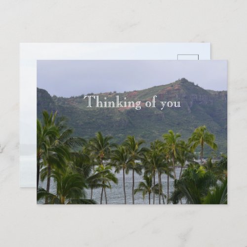 Kauai Hawaii Lihue Palm Trees Kalapaki Beach Postcard