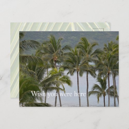 Kauai Hawaii Lihue Palm Trees Ocean Postcard