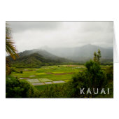 Kauai, Hawaii • Lush Fields • Landscape Scene (Front Horizontal)
