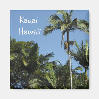 Kauai Hawaii Magnet