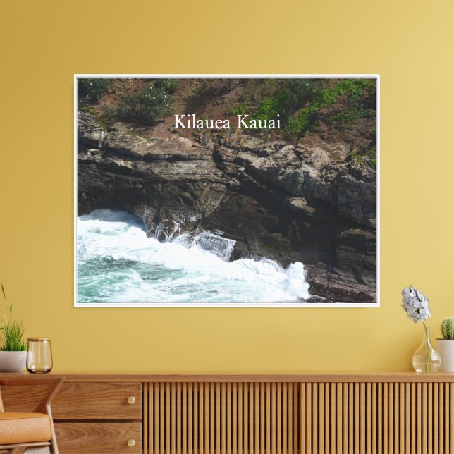 Kauai Hawaii Peacock Feathers Canvas Print (Insitu(LivingRoom))