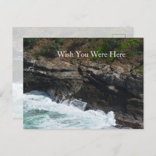 Kauai Hawaii Peacock Feathers Postcard